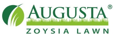 Augusta Zoysia